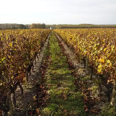 Oda ve Kahvaltı Les Ormeaux Sauternes