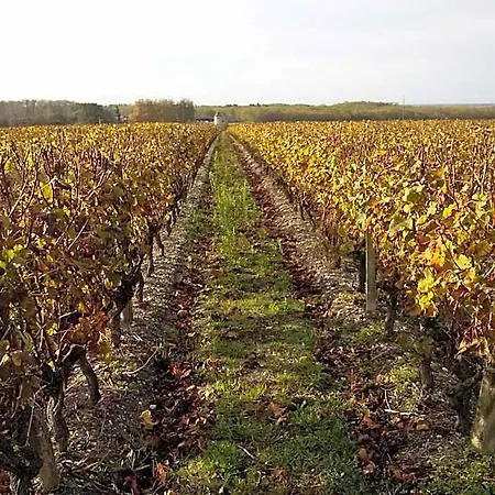 Les Ormeaux Sauternes